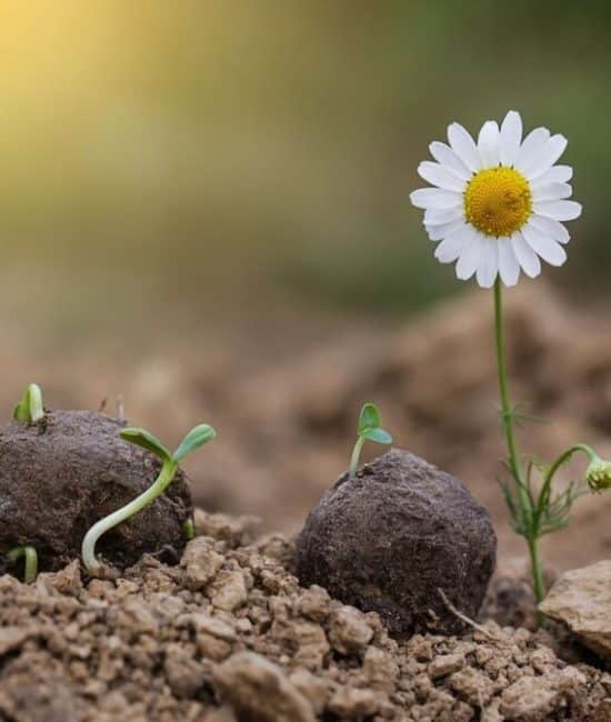 How to Make DIY Wildflower Seed Bombs with Kids