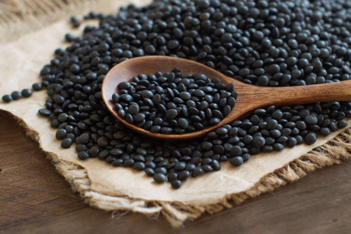 Beluga Lentils .jpg