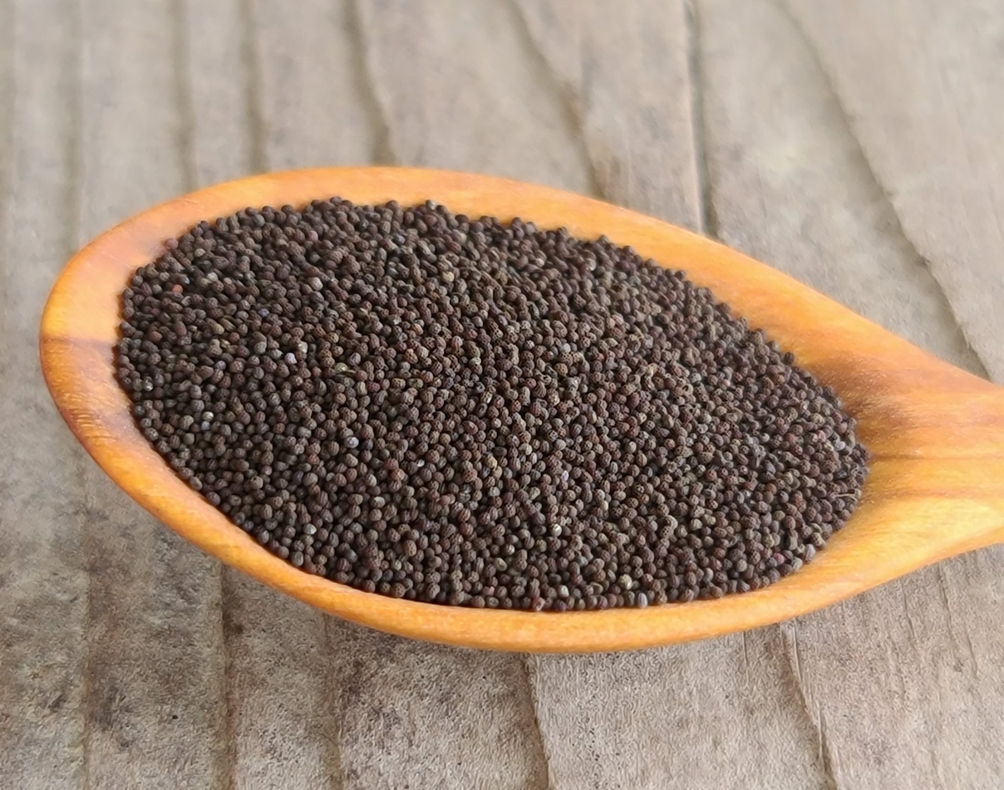 Poppy Seeds