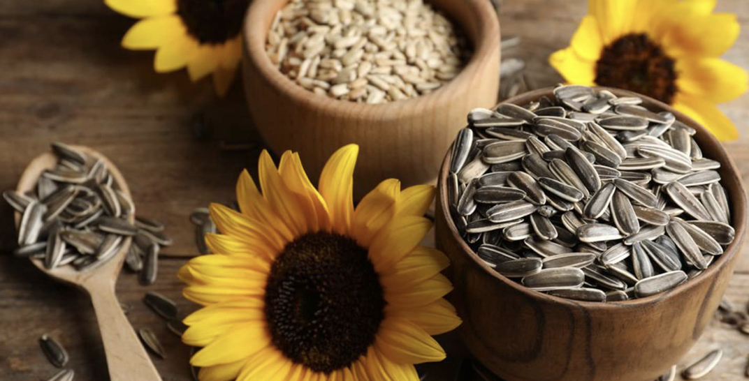 Sunflower Seeds