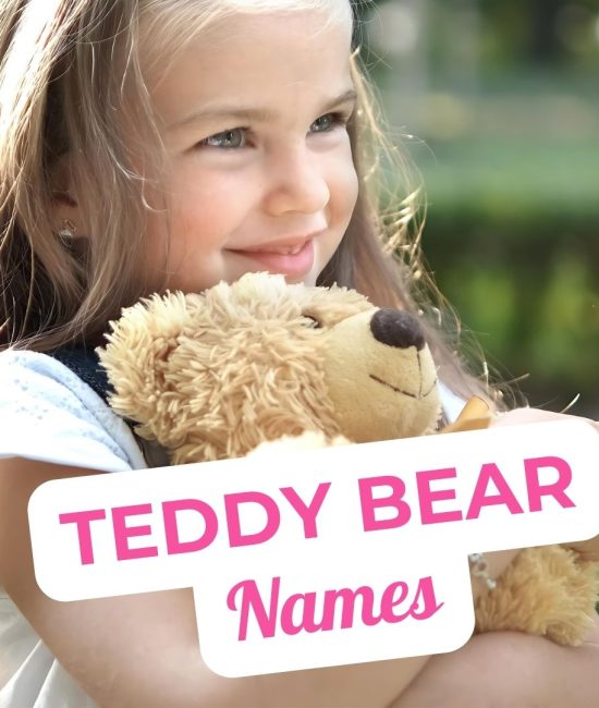 Adorable Teddy Bear Names for Your Cuddly Companion