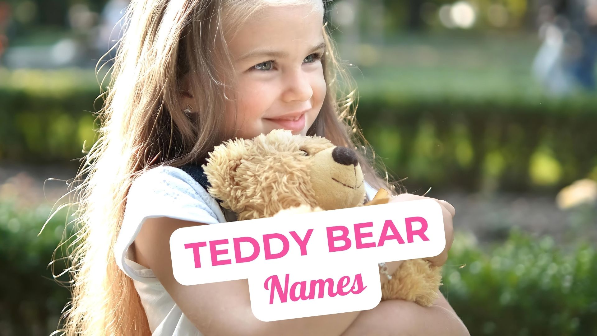 Adorable Teddy Bear Names for Your Cuddly Companion