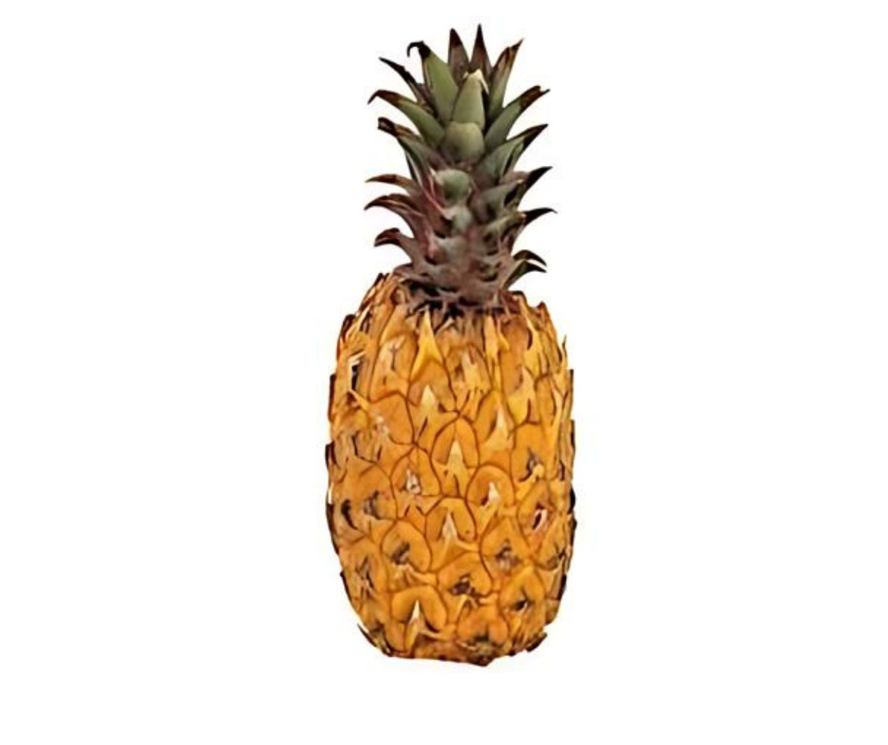 Natal Queen Pineapple