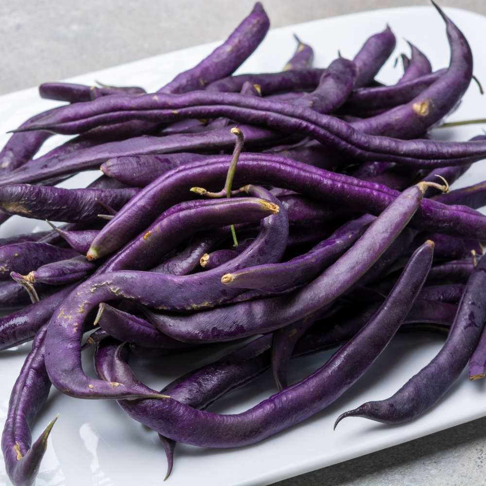 Purple Green Beans