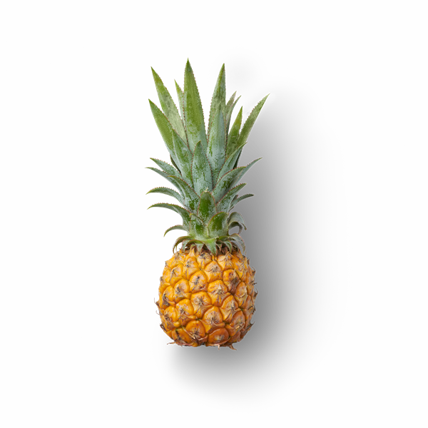 Ripley Queen Pineapple