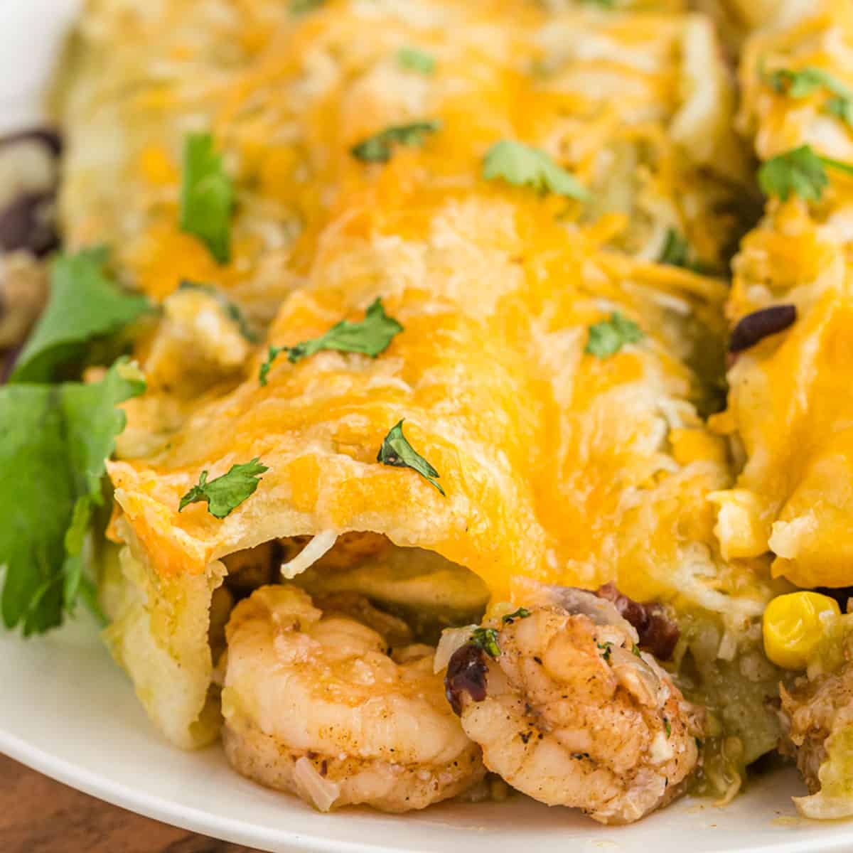 Shrimp Enchiladas