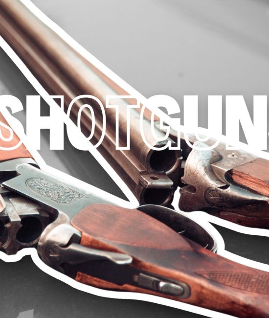 Types of Shotguns You Should Know