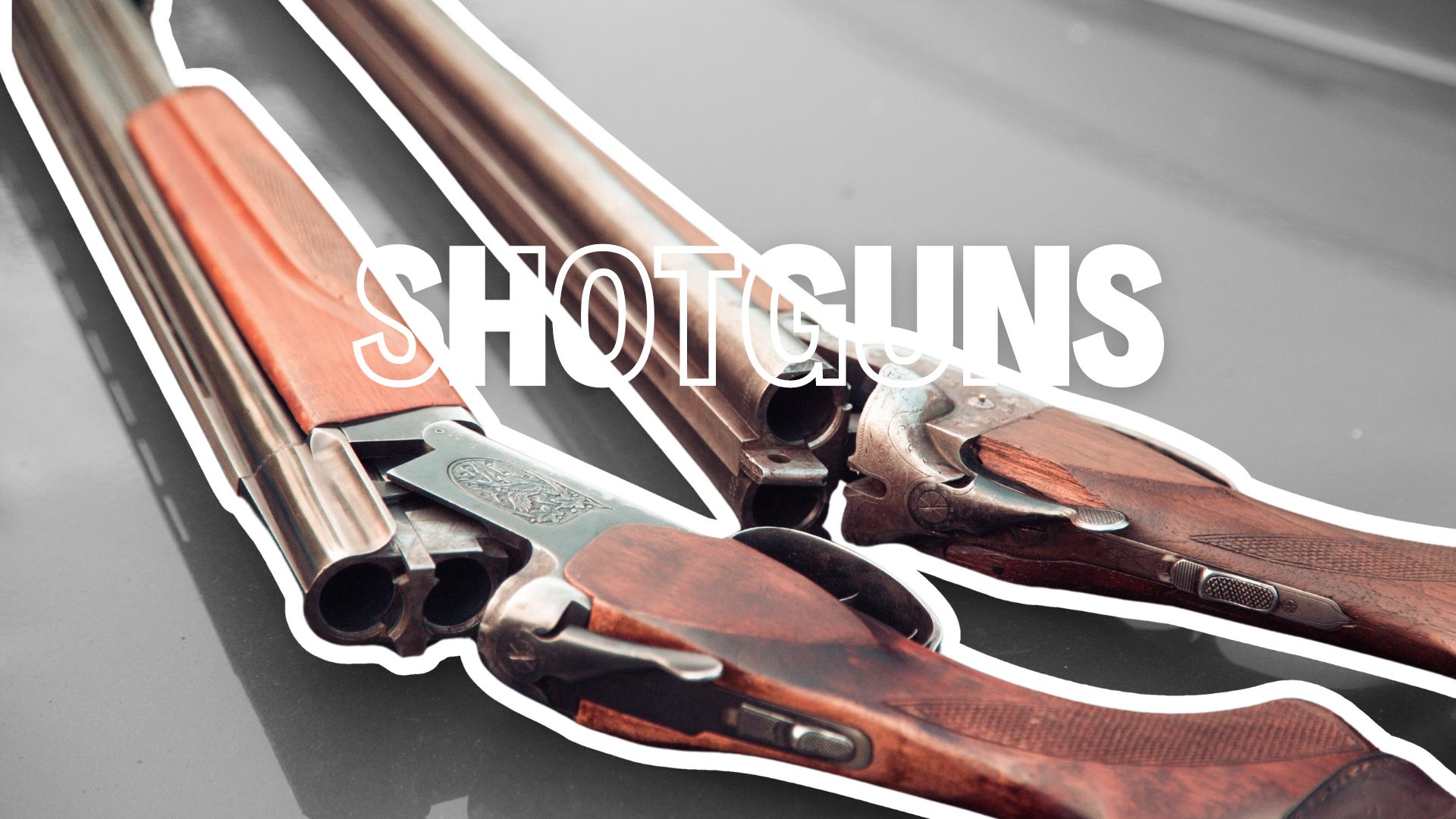 Types of Shotguns You Should Know