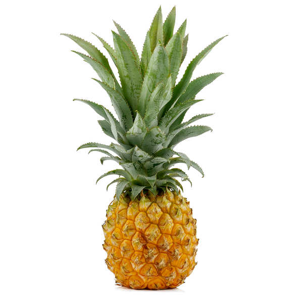 Victoria Pineapple