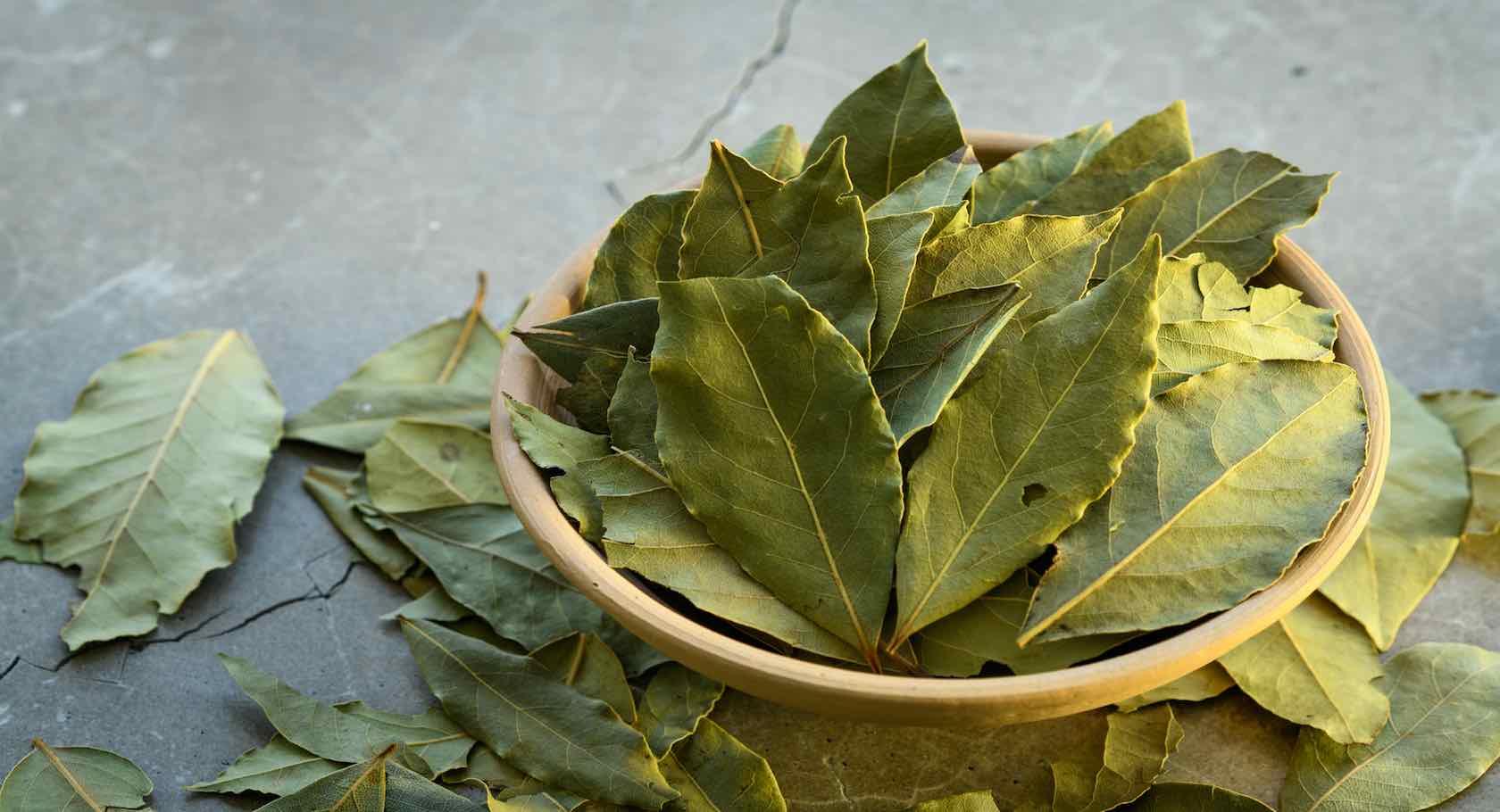 Bay_Leaves