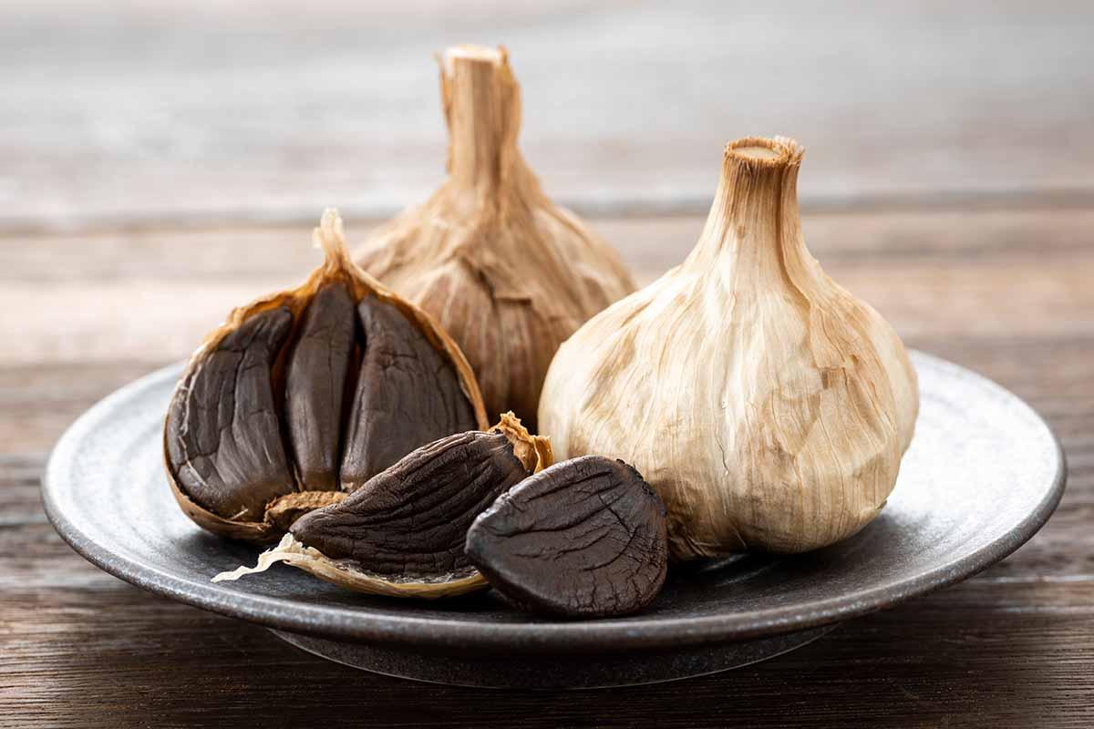 Black_Garlic