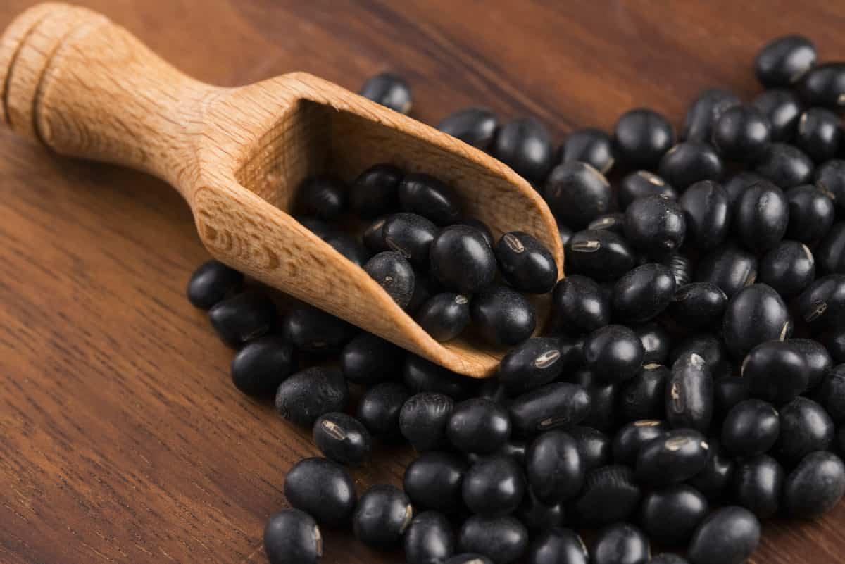 Black_Soybeans