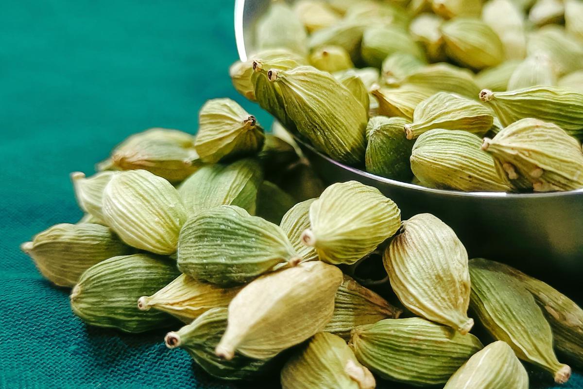 Cardamom