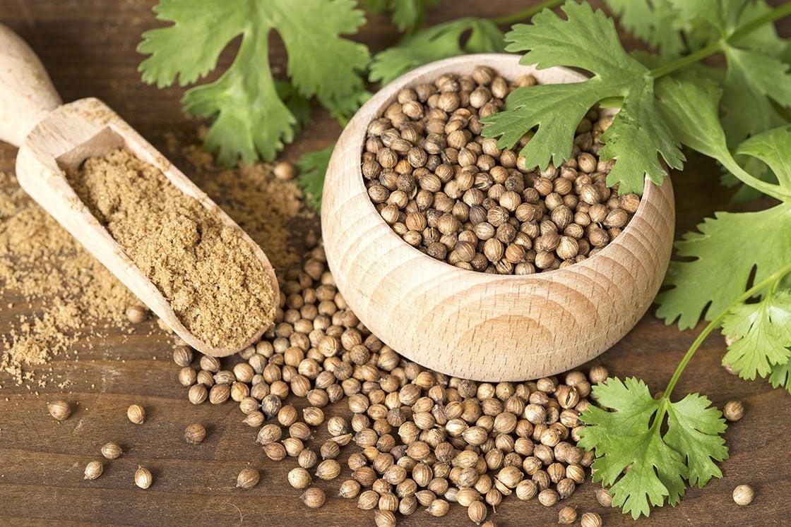 Coriander_Seeds