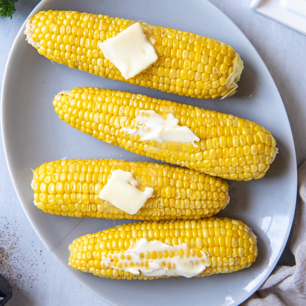 Corn_on_the_Cob