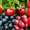 Delicious Berries to Try This Summer