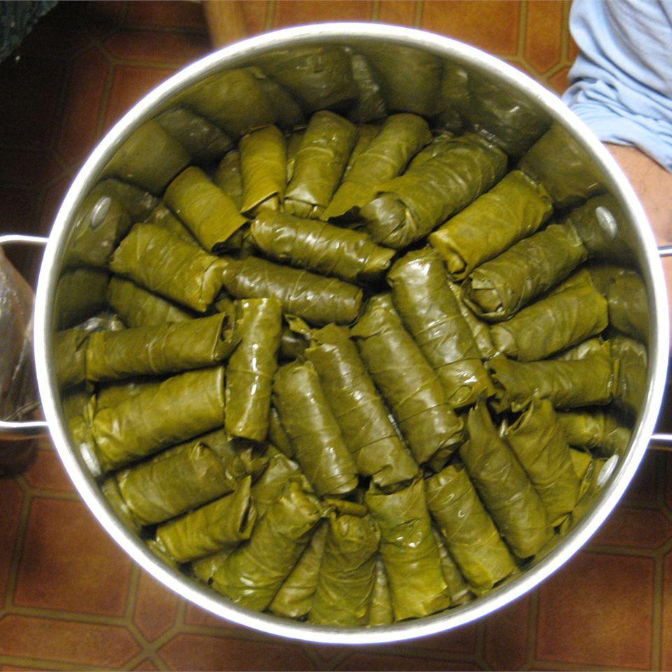 Dolmades_Stuffed_Grape_Leaves