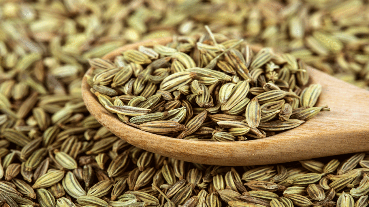 Fennel_Seeds