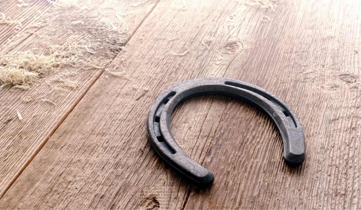 Horseshoes