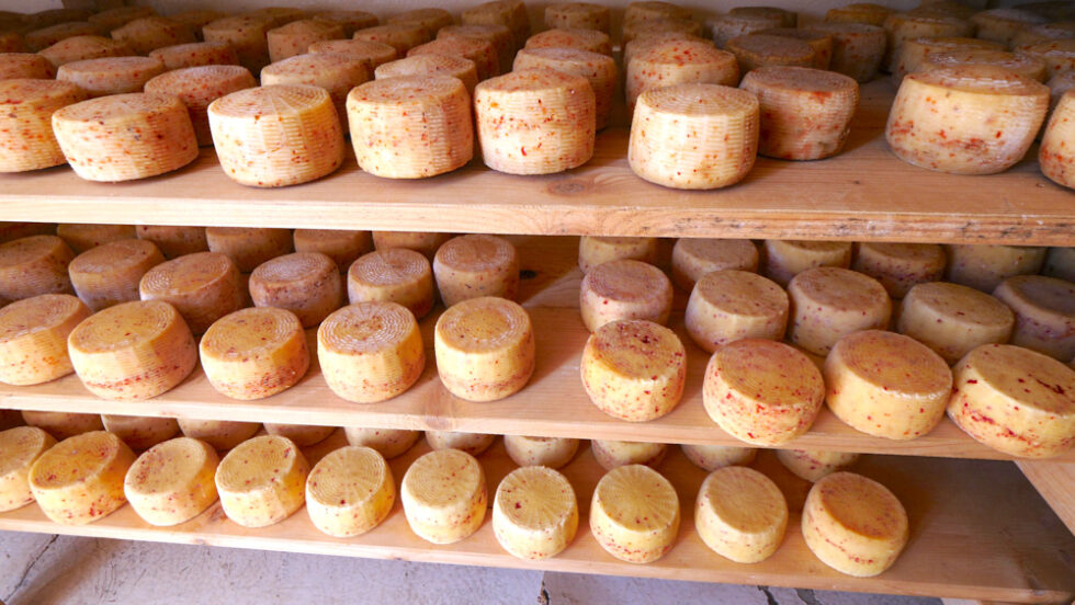 Kaçkavall (Albanian Cheese)