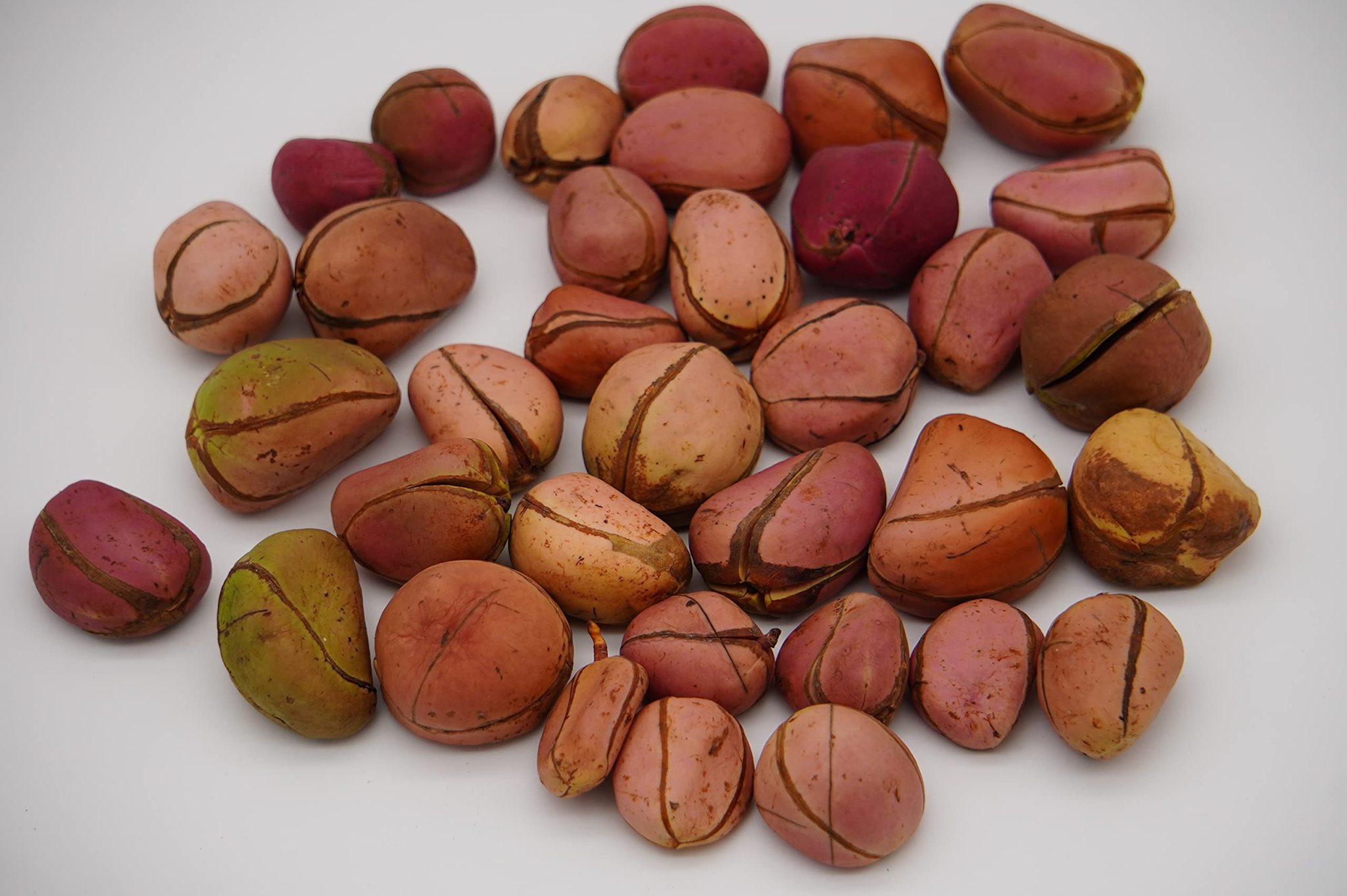 Kola Nuts