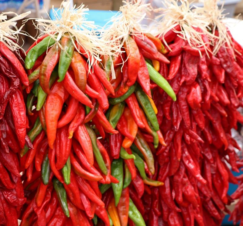 New_Mexico_Chile_Peppers