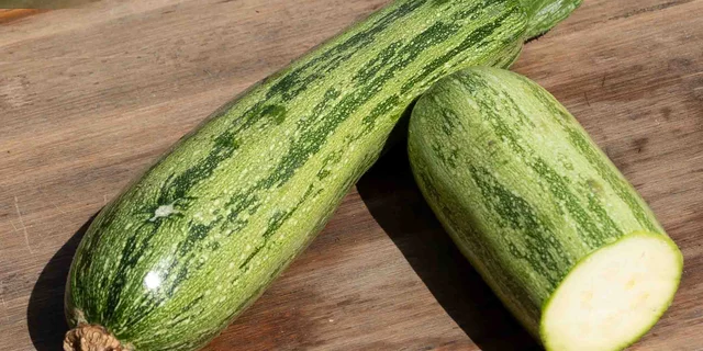 Nimba Zucchini