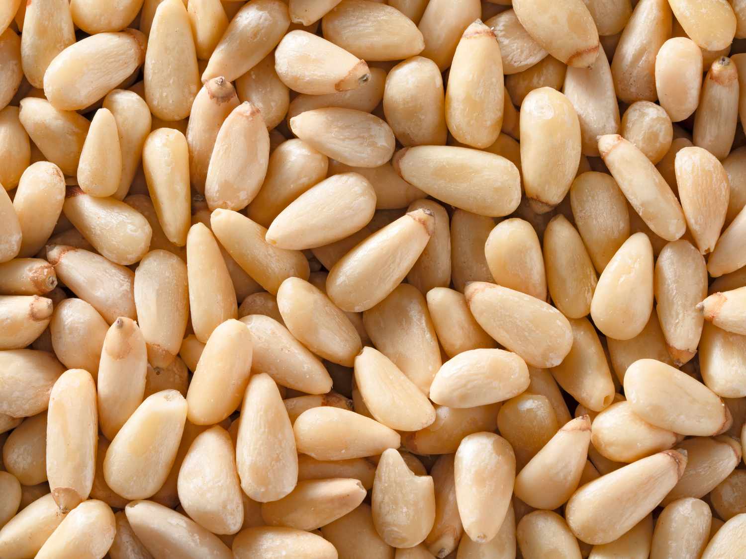 Pine Nuts