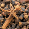 Spices and More to Replace Star Anise in Cooking