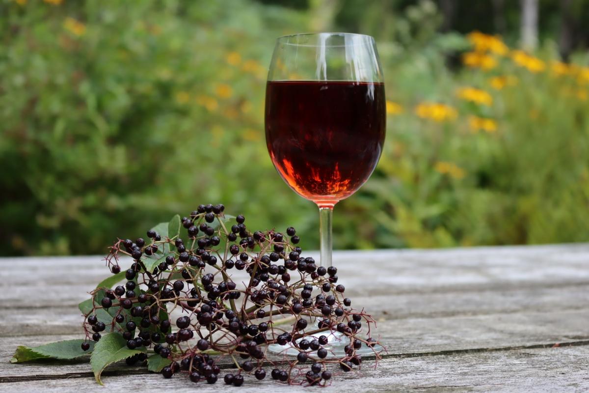 Elderberry_Wine