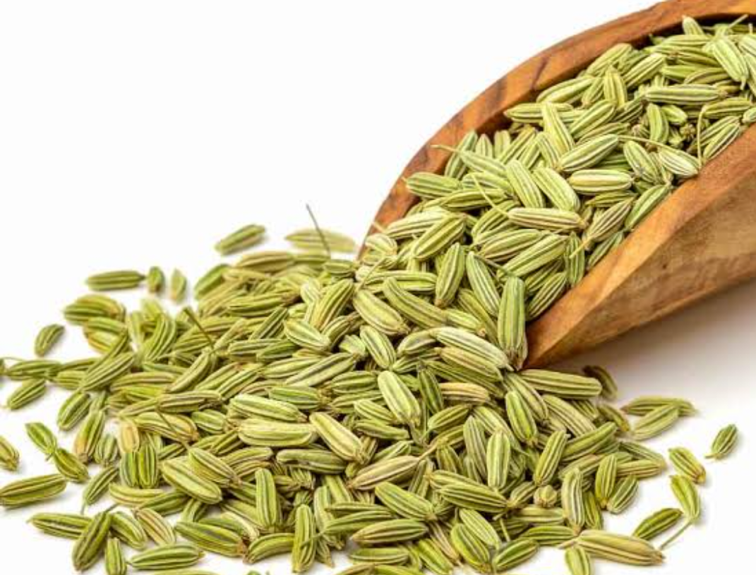 Fennel_Seeds