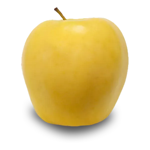 Golden_Delicious_Apple